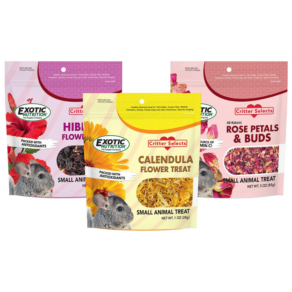Exotic Nutrition : fleurs d’hibiscus pour un apport coloré et stimulant.