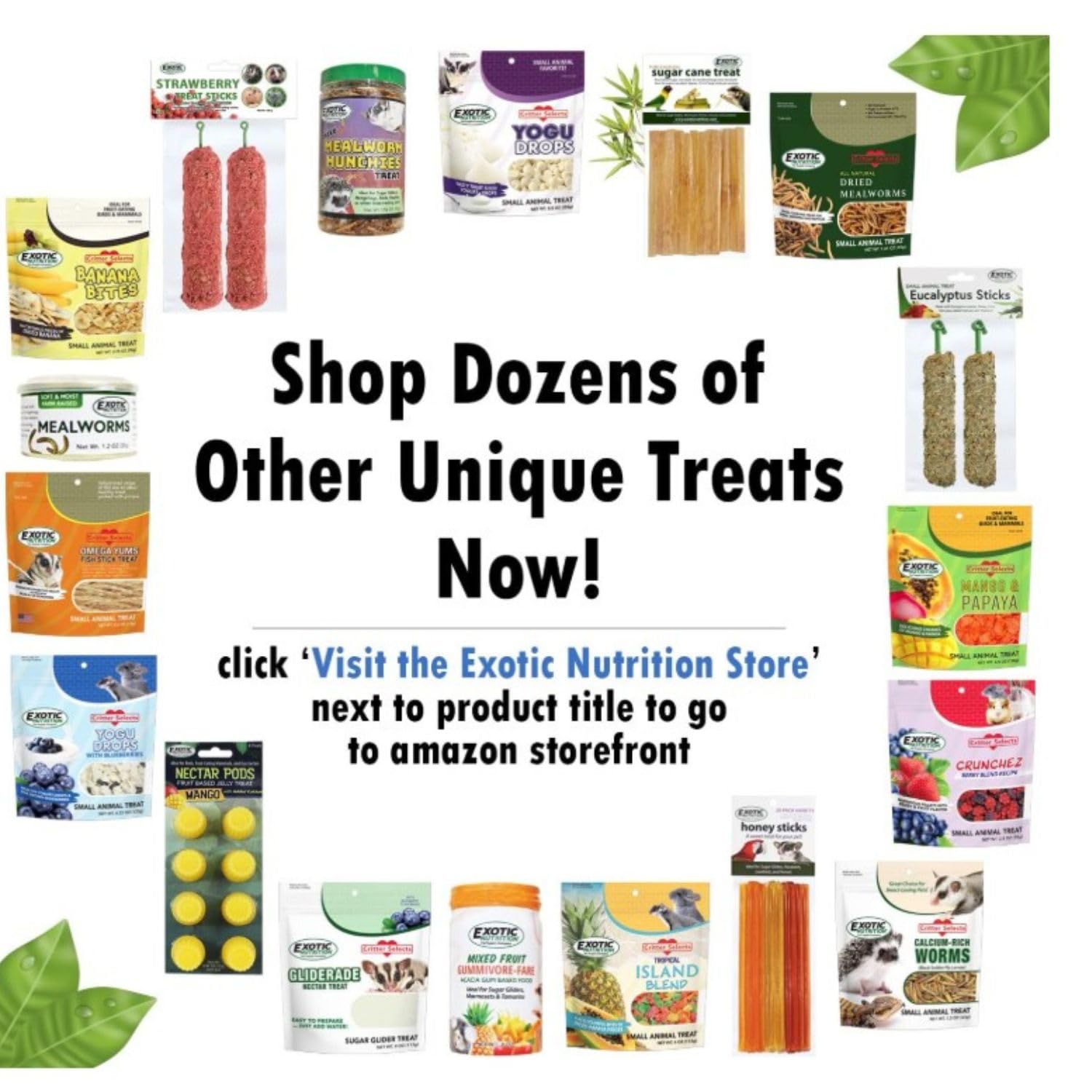 Exotic Nutrition flocons-pois-verts-digestion-douce – soutien digestif grâce à la texture aplatie.