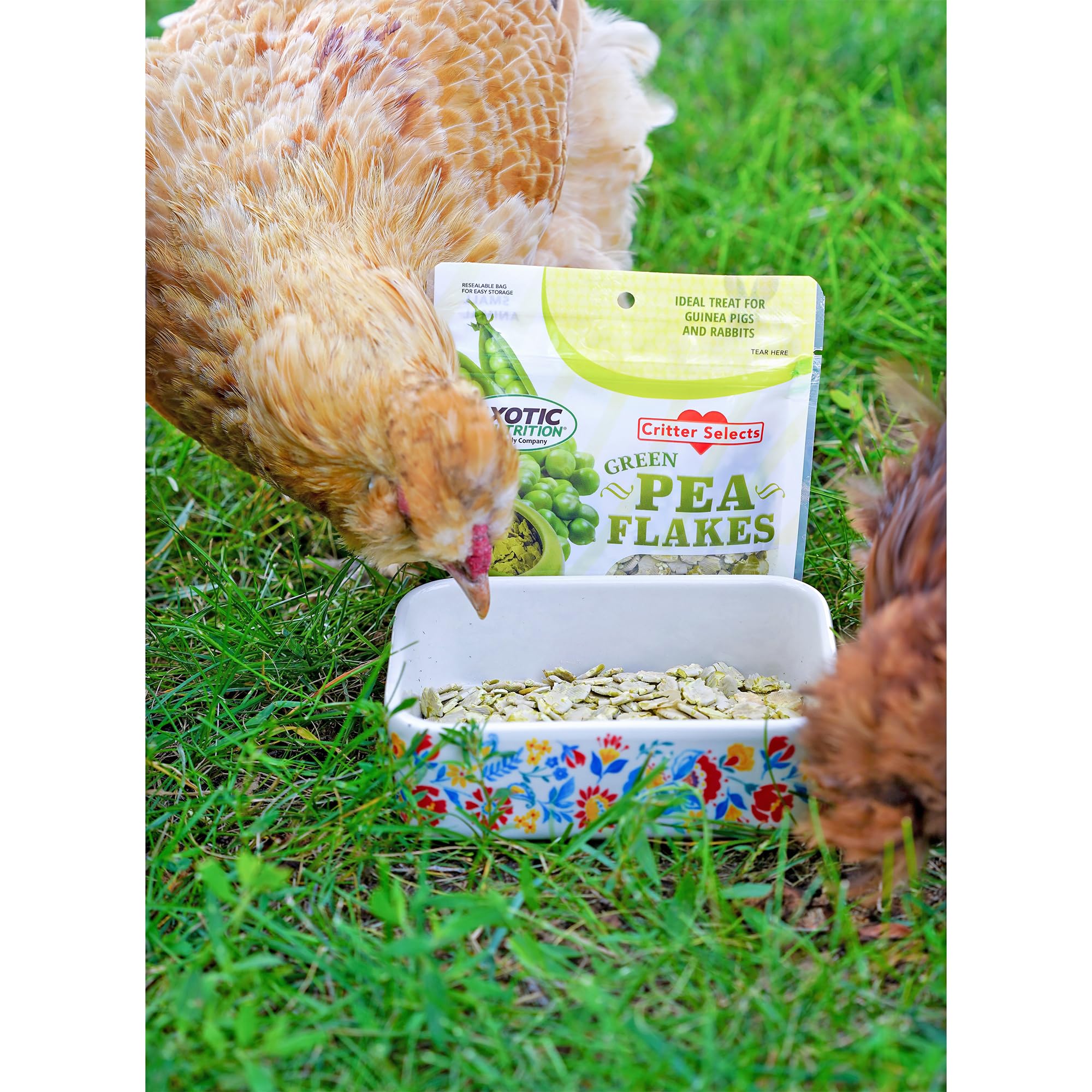 Exotic Nutrition flocons-pois-verts-emballage-soigne: emballage soigné pour préserver la fragilité.