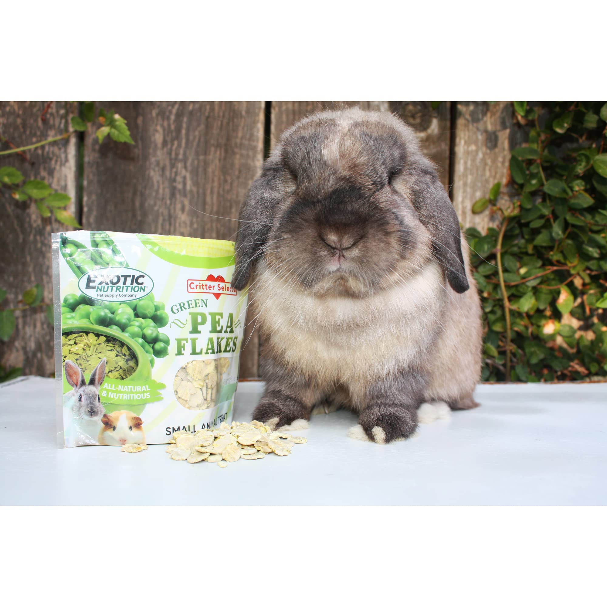 Exotic Nutrition flocons-pois-verts-recompense-entrainement – motivation simple pour l'entraînement.