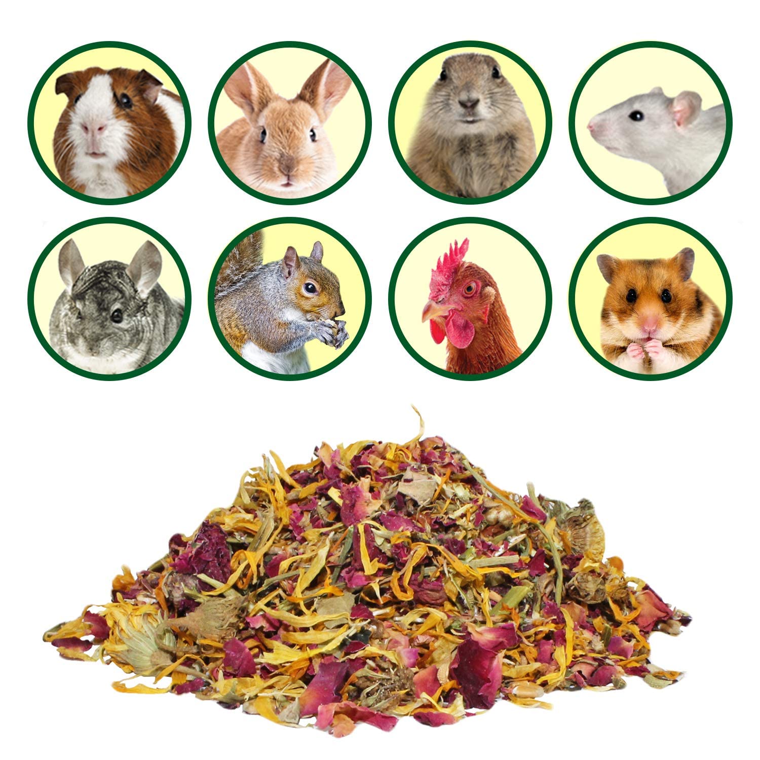 Exotic Nutrition Flower Fusion Treat pétales visibles, texture naturelle et attrayante.