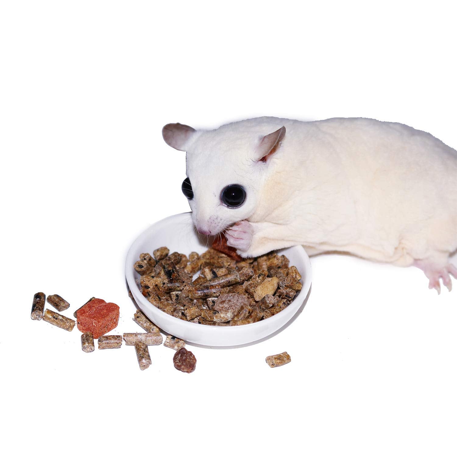 Exotic Nutrition Glider Complete – Portionnement hebdomadaire facilite la gestion des rations.