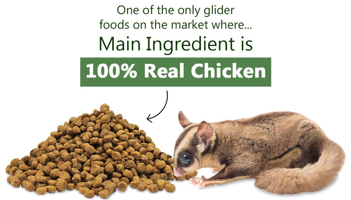 Glider Essential Exotic Nutrition sans agents de remplissage, qualité naturelle.