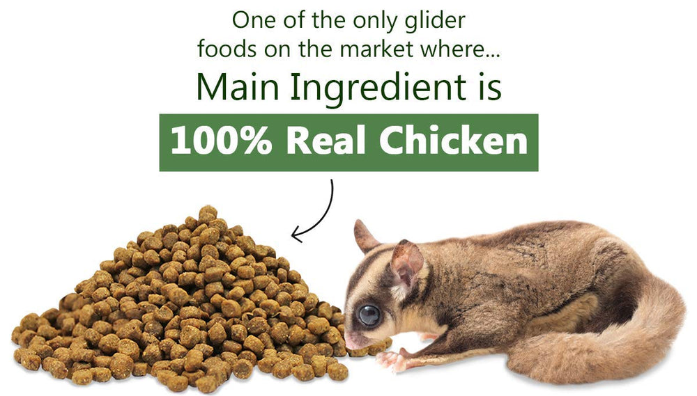 Glider Essential Exotic Nutrition sans agents de remplissage, qualité naturelle.
