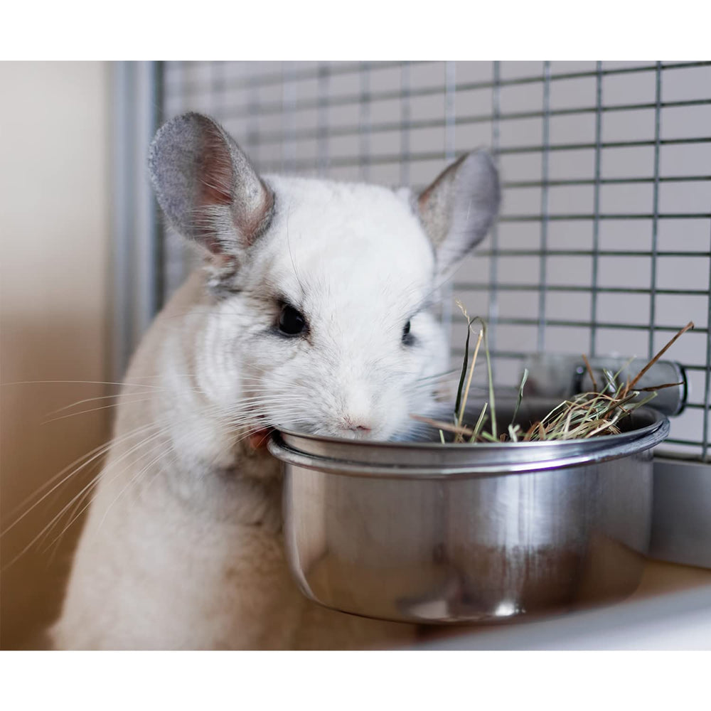 Utilisation polyvalente: nourriture et eau pour petits animaux.