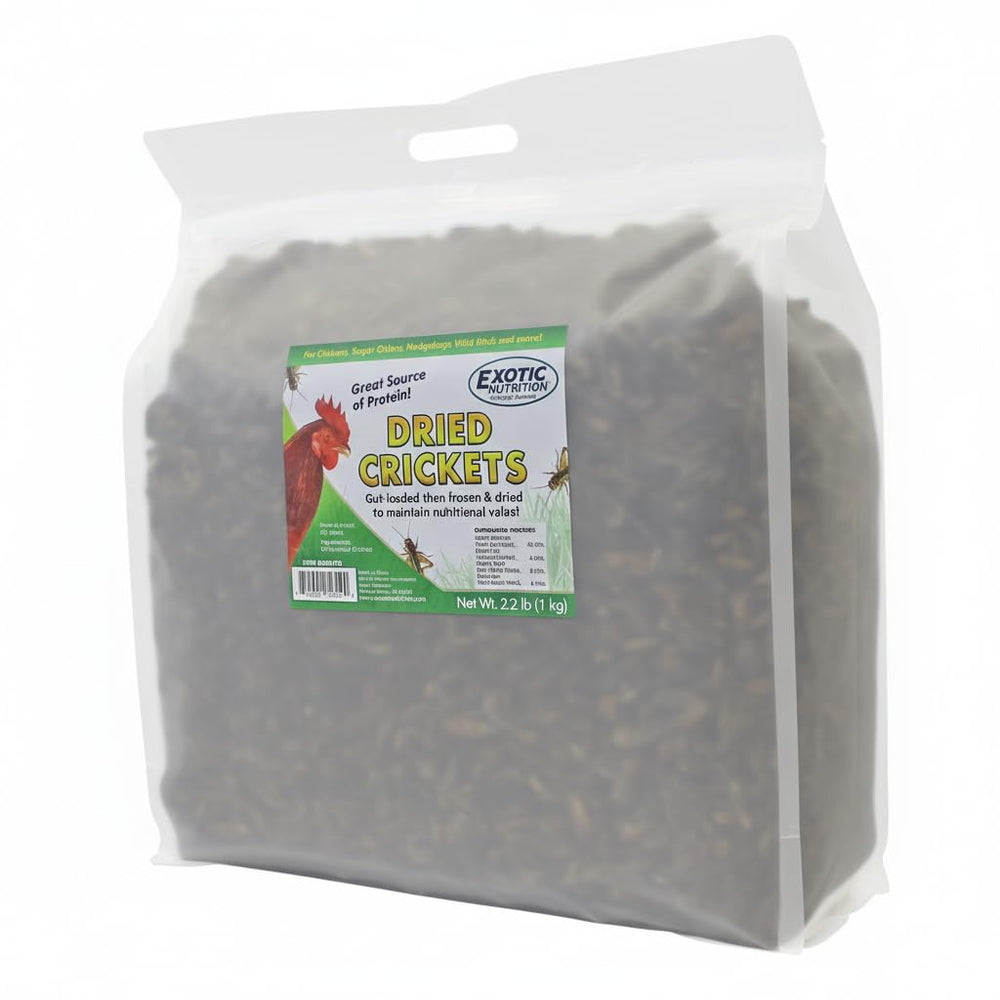 Exotic Nutrition grillons séchés dans un sac fermé, friandise protéinée pour poules.