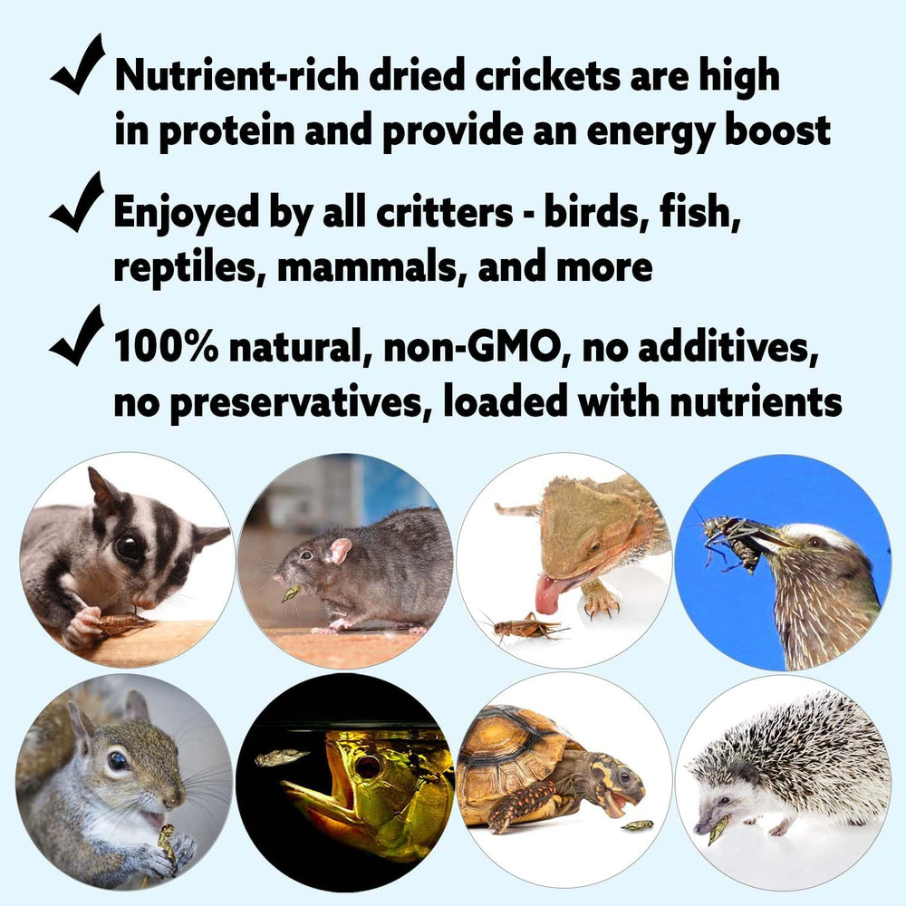 Exotic Nutrition grillons séchés dans le sac ouvert, apport rapide de protéines pour oiseaux.