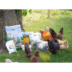 Exotic Nutrition grillons séchés pour poules, soutien nutritionnel lors du nourrissage.