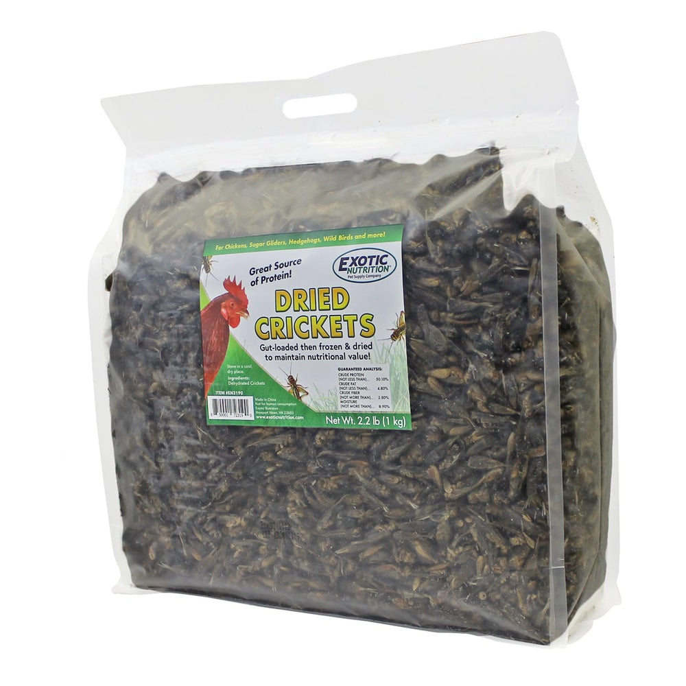 Exotic Nutrition grillons séchés pour reptiles, option pratique de récompense.