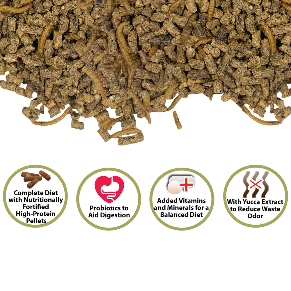 Exotic Nutrition Hedgehog Complete – vers séchés visibles pour varier l’alimentation du hérisson