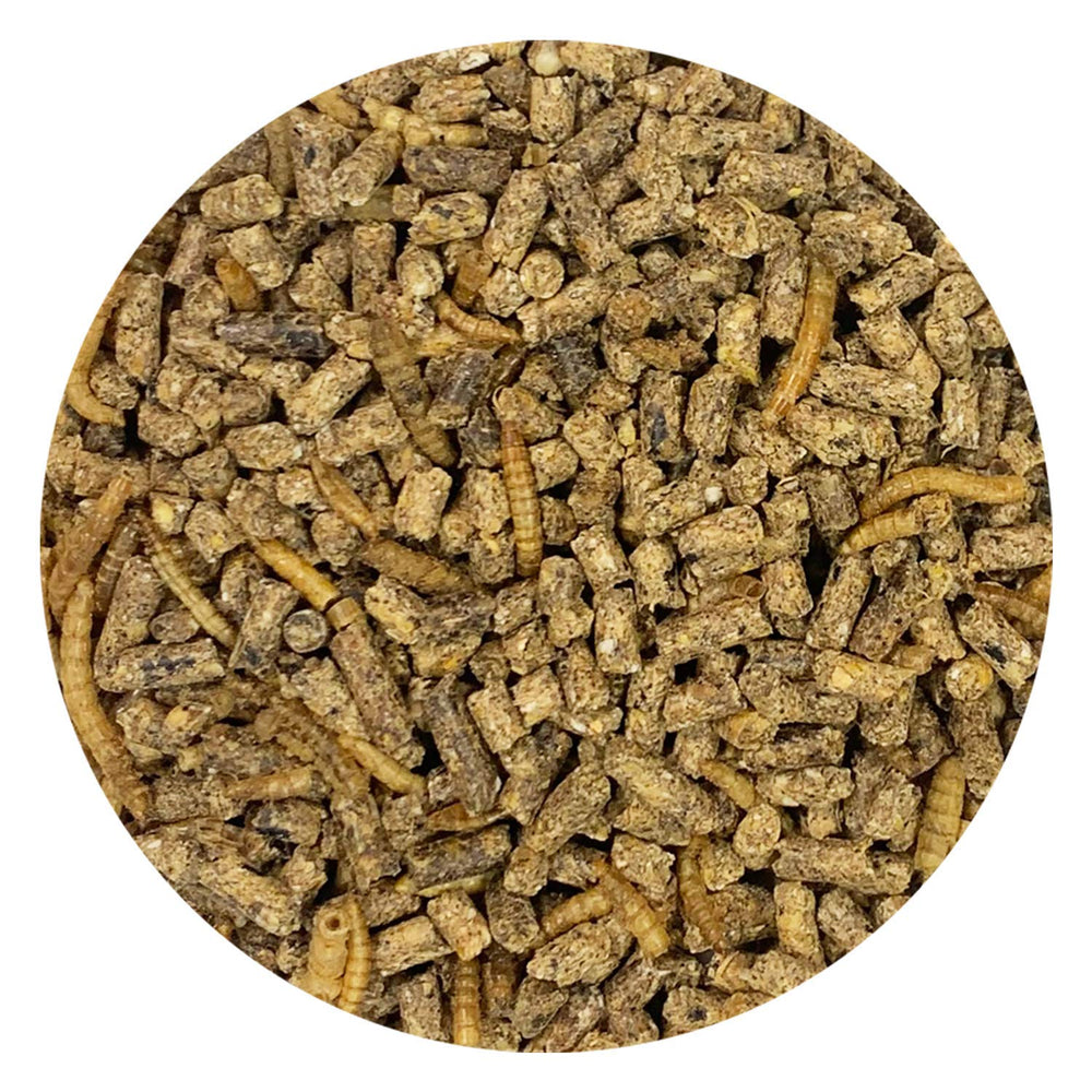 Exotic Nutrition Hedgehog Complete – portion quotidienne recommandée pour le contrôle du poids