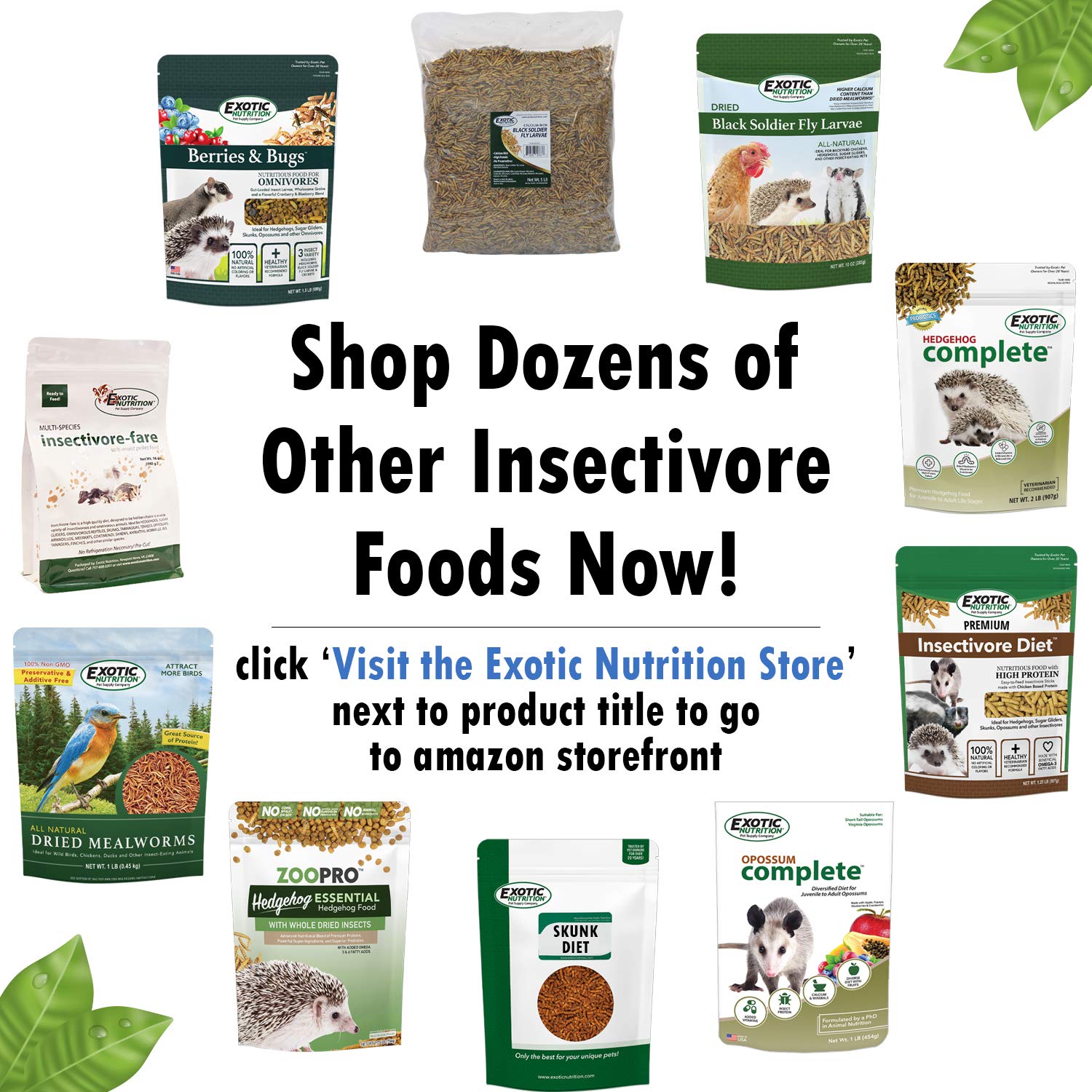 Exotic Nutrition Hedgehog Complete – fabrication en petites séries garantissant une qualité constante