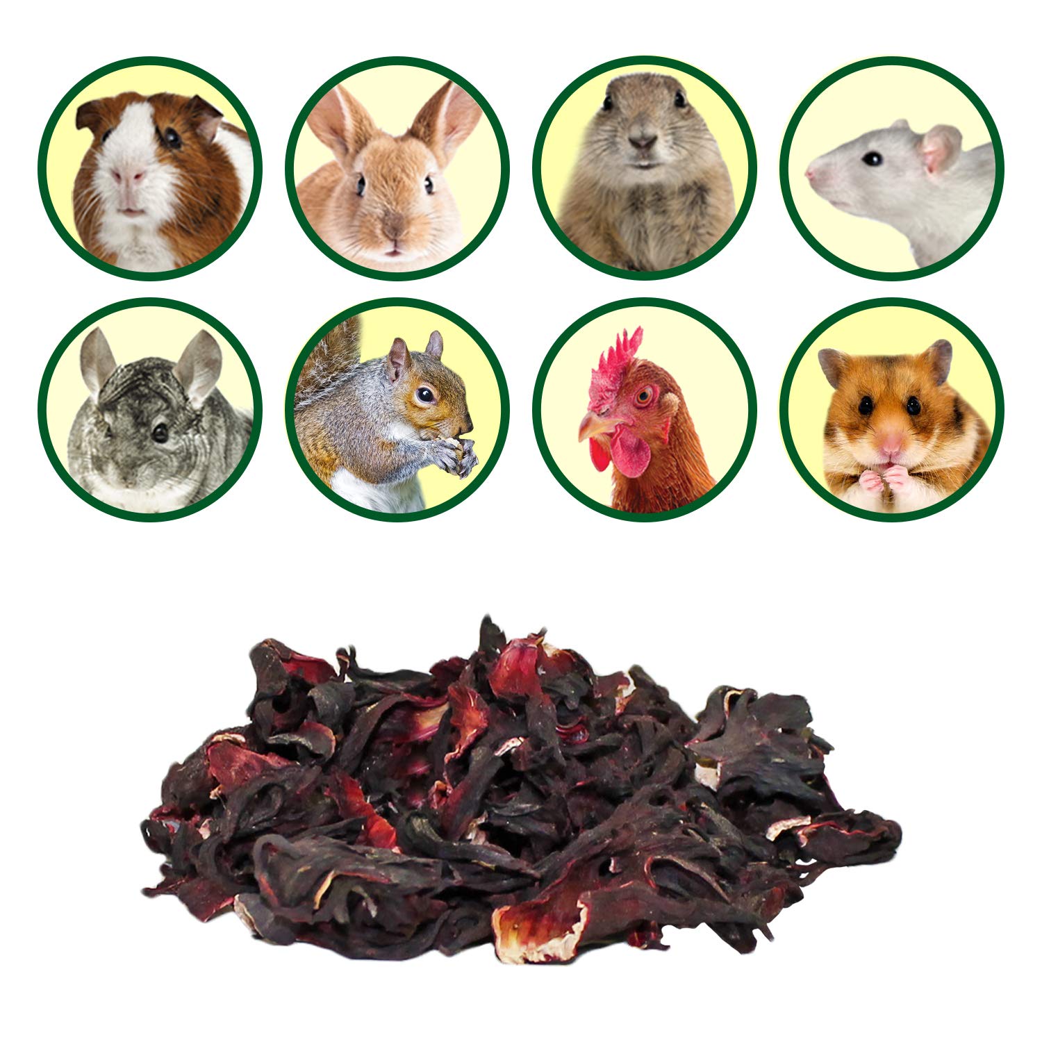 Exotic Nutrition hibiscus-treat-alimentation-herbivores: variété dans l'alimentation des herbivores.