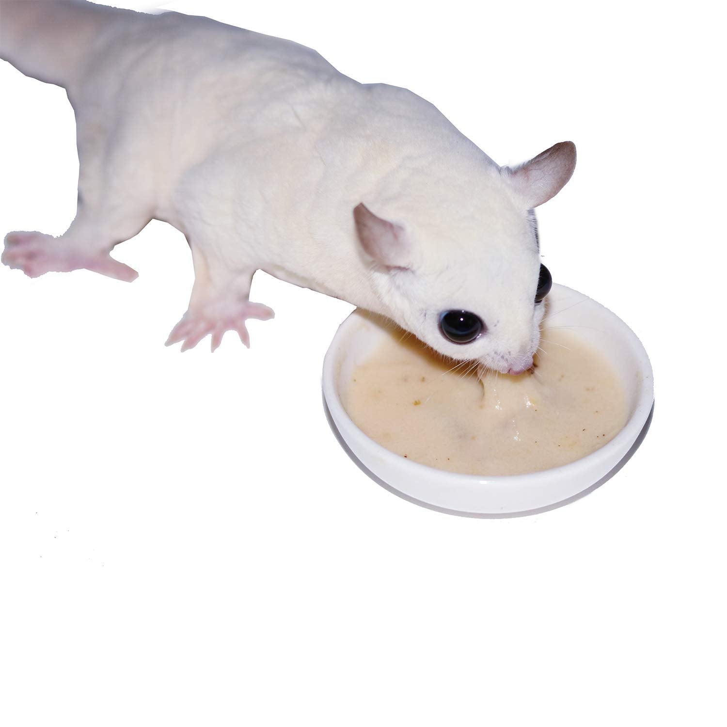 Instant-HPW contient miel et œufs pour un repas nourrissant.