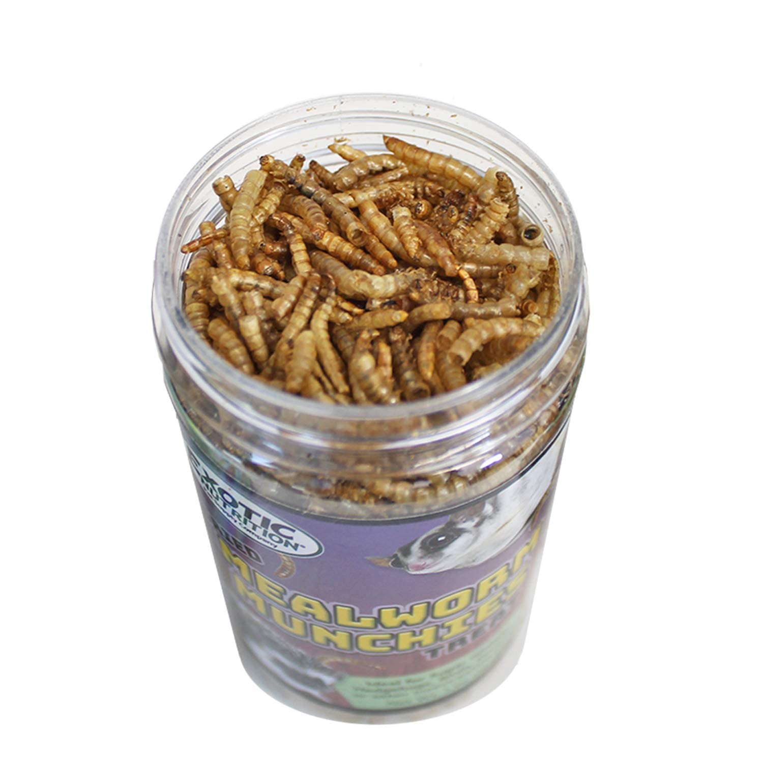 Exotic Nutrition Munchies: jouet fourrage stimule l'enrichissement.