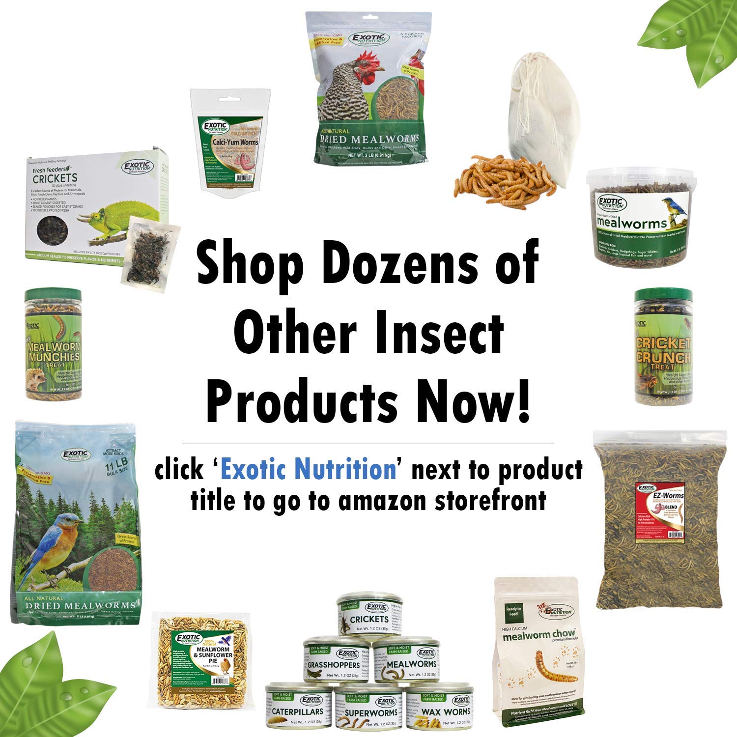 Exotic Nutrition Munchies: variete pour differents regimes.