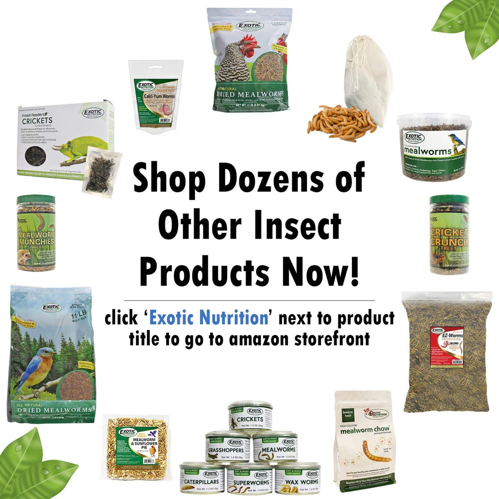 Exotic Nutrition Munchies: variete pour differents regimes.
