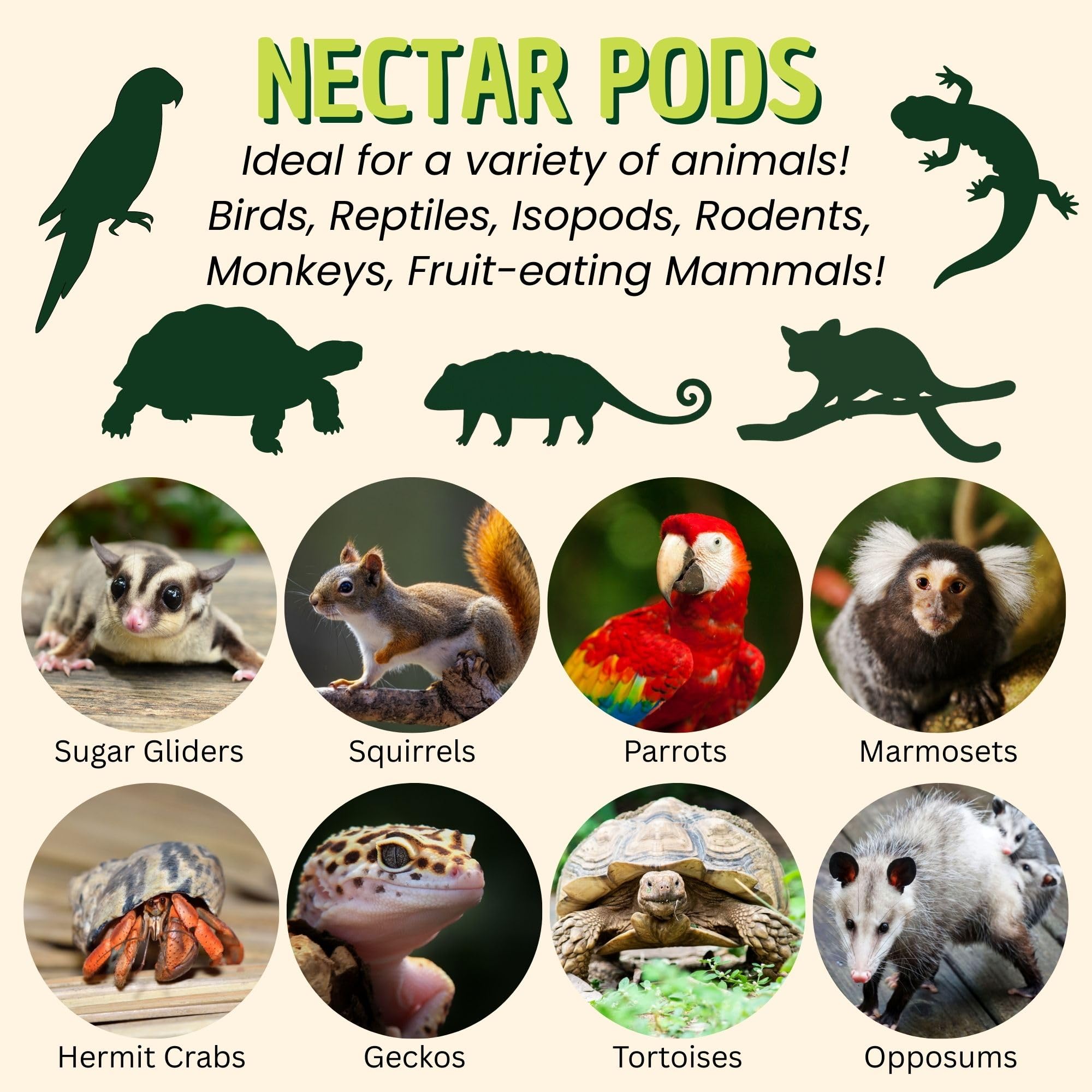 Nectar Pods Exotic Nutrition portions individuelles faciles à distribuer