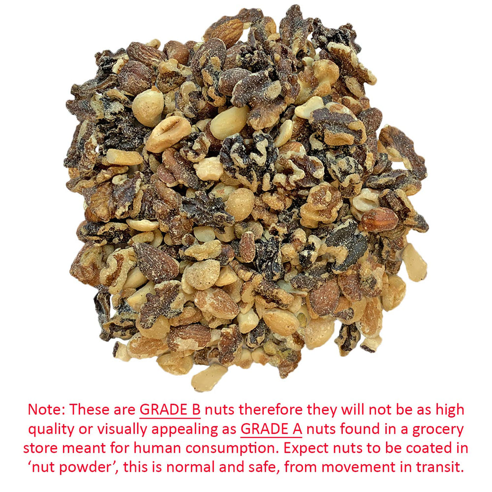 Noix crues non salées Exotic Nutrition, parfaites pour une collation saine.