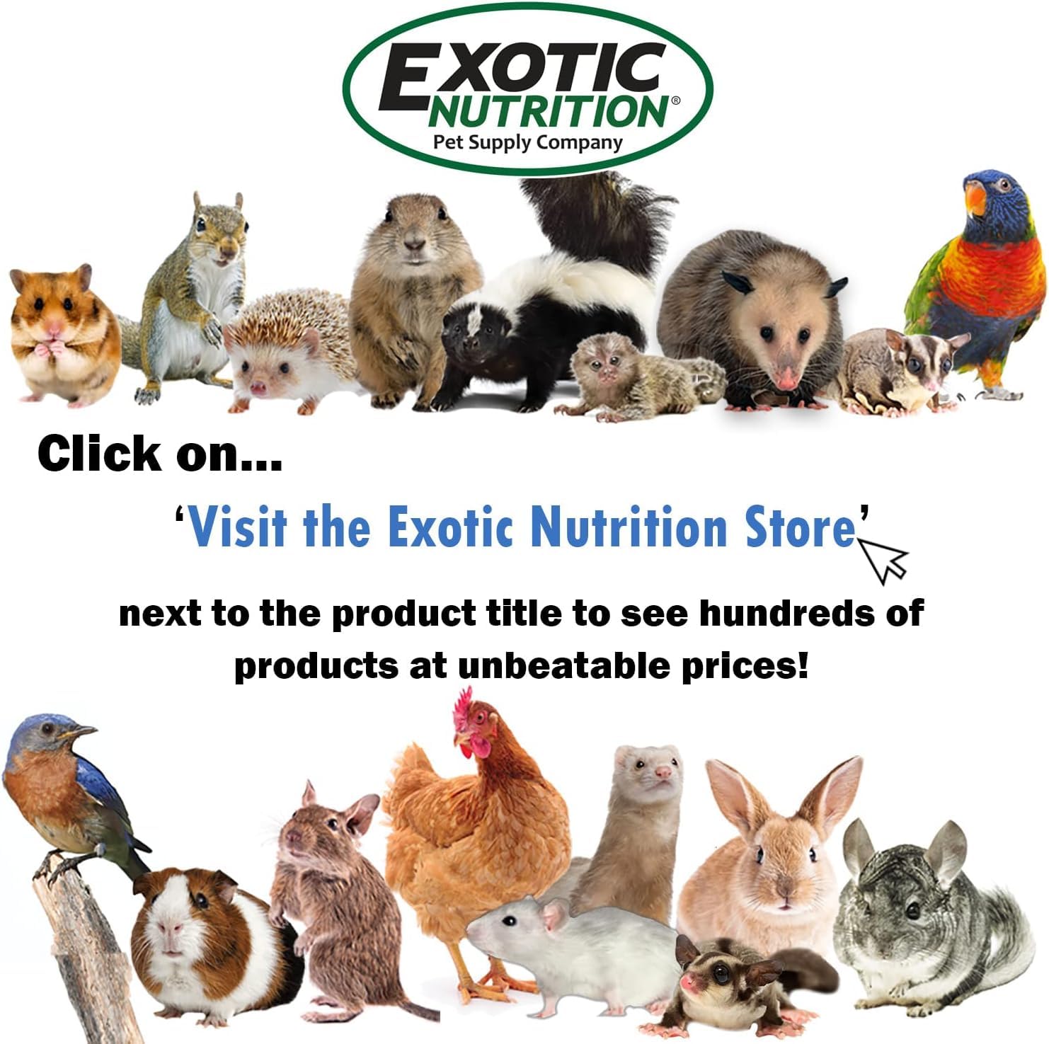 Exotic Nutrition Opossum Booster, usage quotidien, peut compléter une alimentation variée.