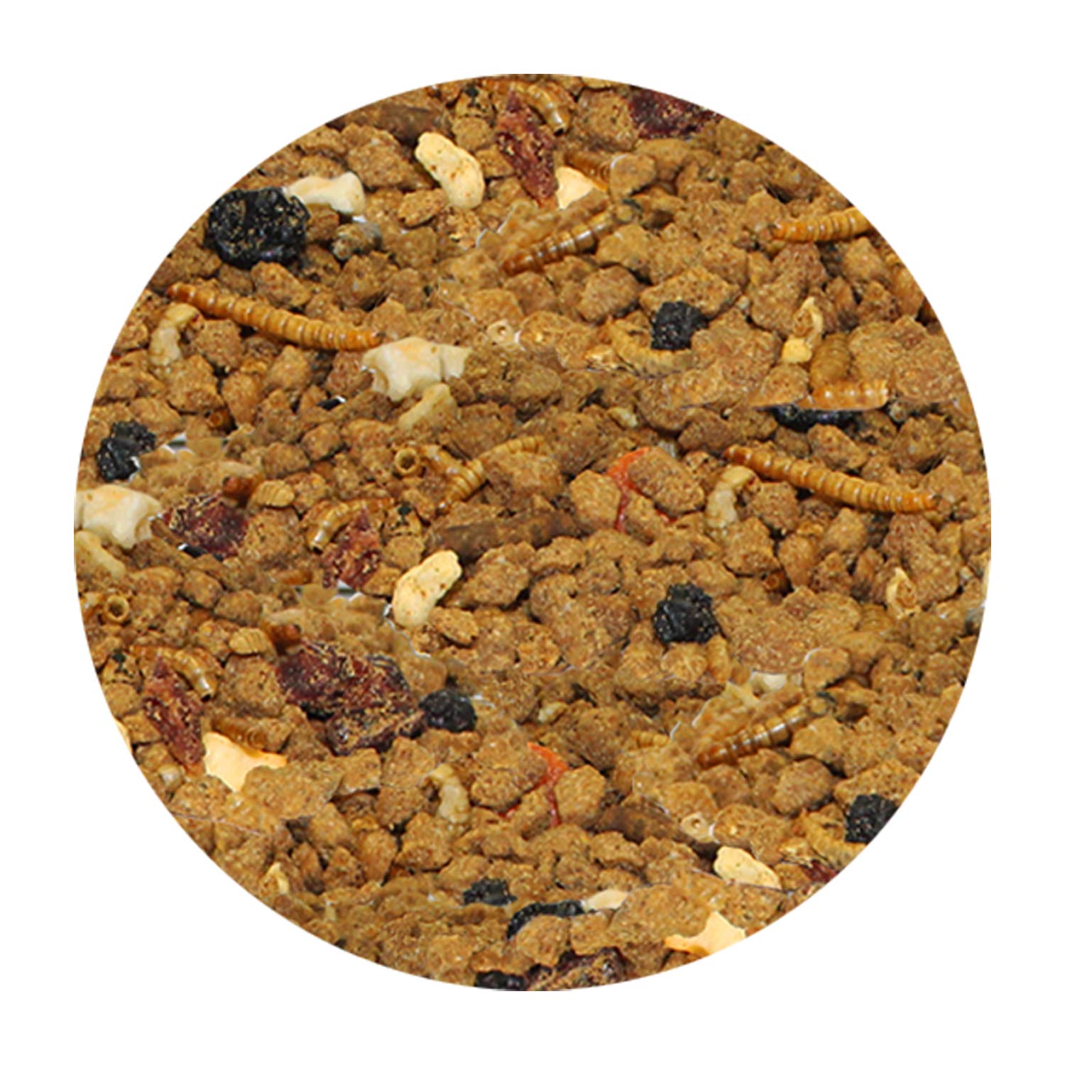 Exotic Nutrition Opossum Complete – fruits séchés ajoutés pour une saveur naturelle.