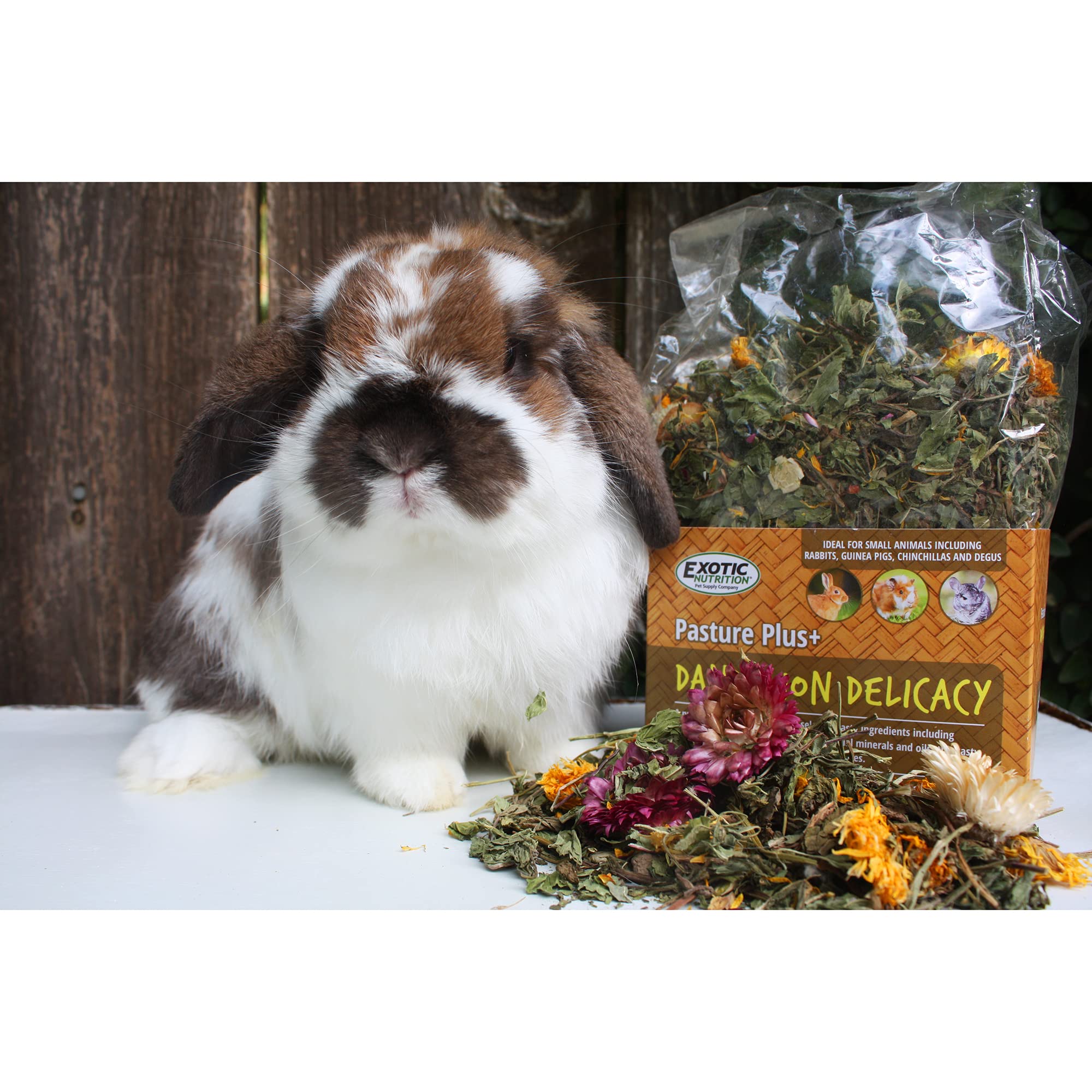 Exotic Nutrition Pasture Plus Dandelion Delicacy : format bol idéal pour servir comme friandise.