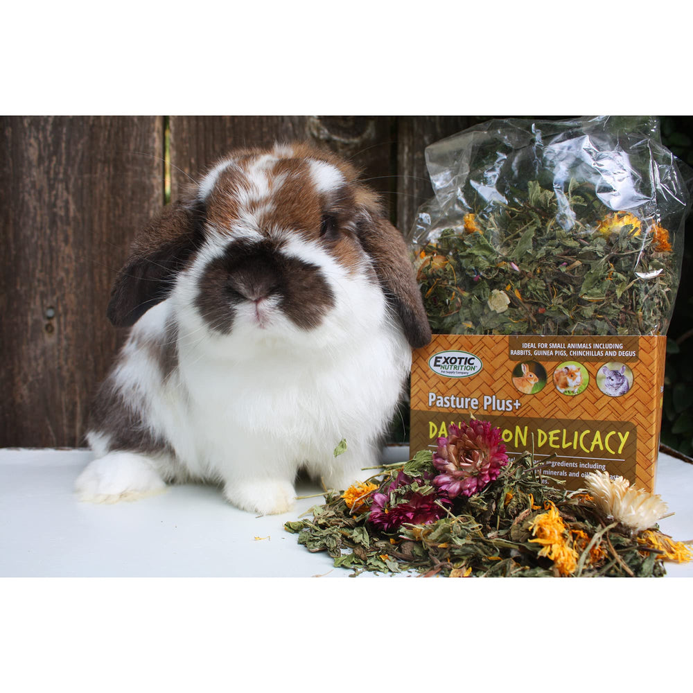 Exotic Nutrition Pasture Plus Dandelion Delicacy : format bol idéal pour servir comme friandise.