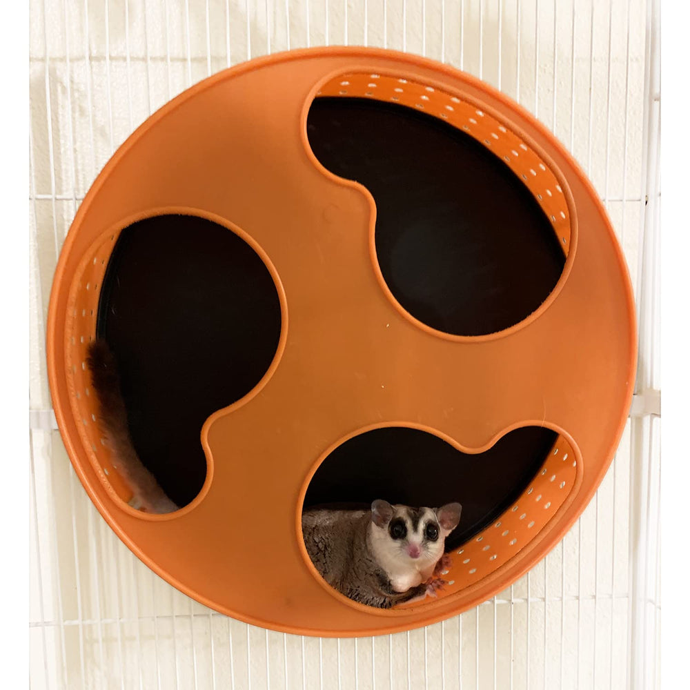 Exotic Nutrition: adaptée aux petits marsupiaux volants