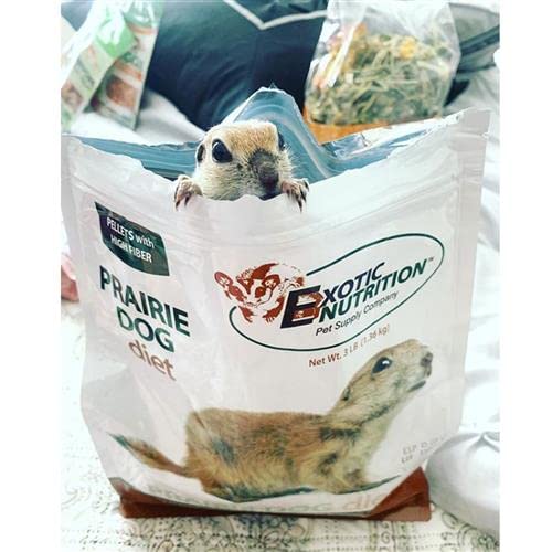 Exotic Nutrition Prairie Dog Diet: emballage 2,5 lb prêt à l'emploi.