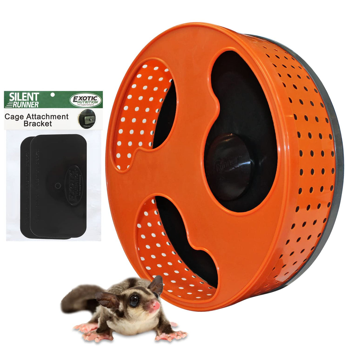 Exotic Nutrition: roue silencieuse 12 pouces pour exercice discret et fluide