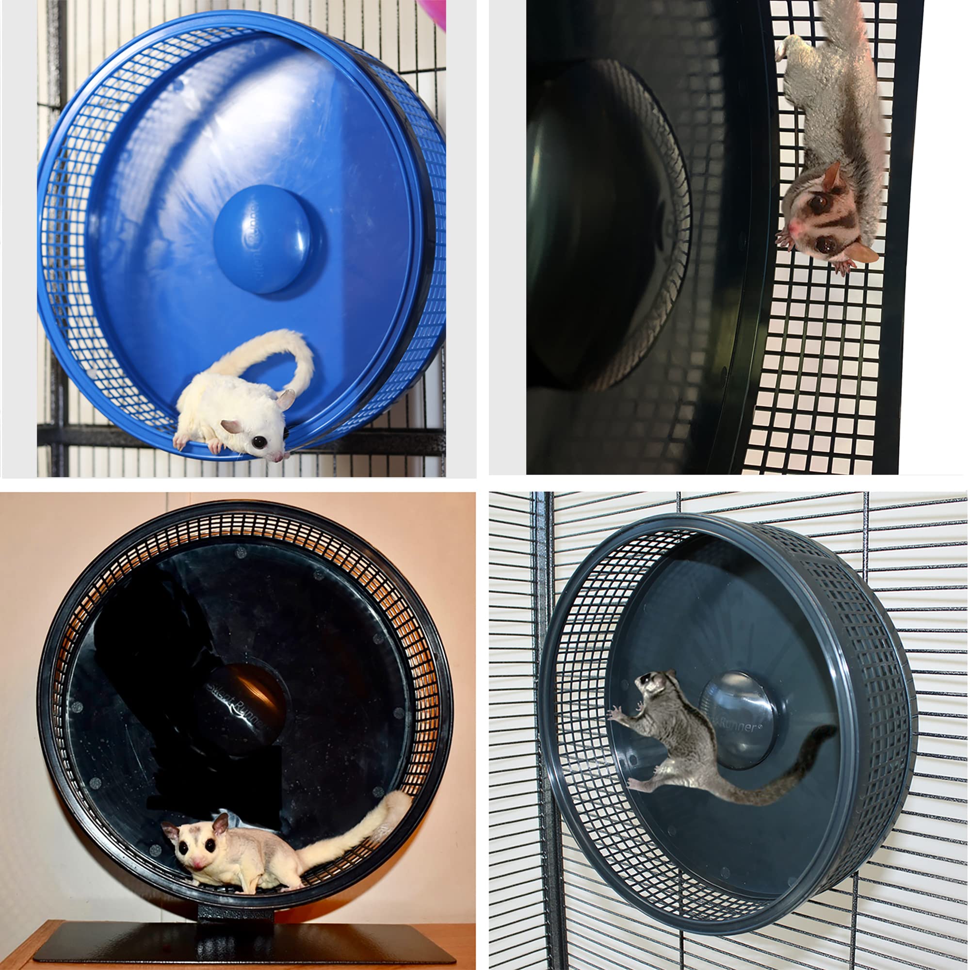 Silent Runner Pro Exotic Nutrition, roue bleue avec accessoire, stimulation efficace pour petits animaux.