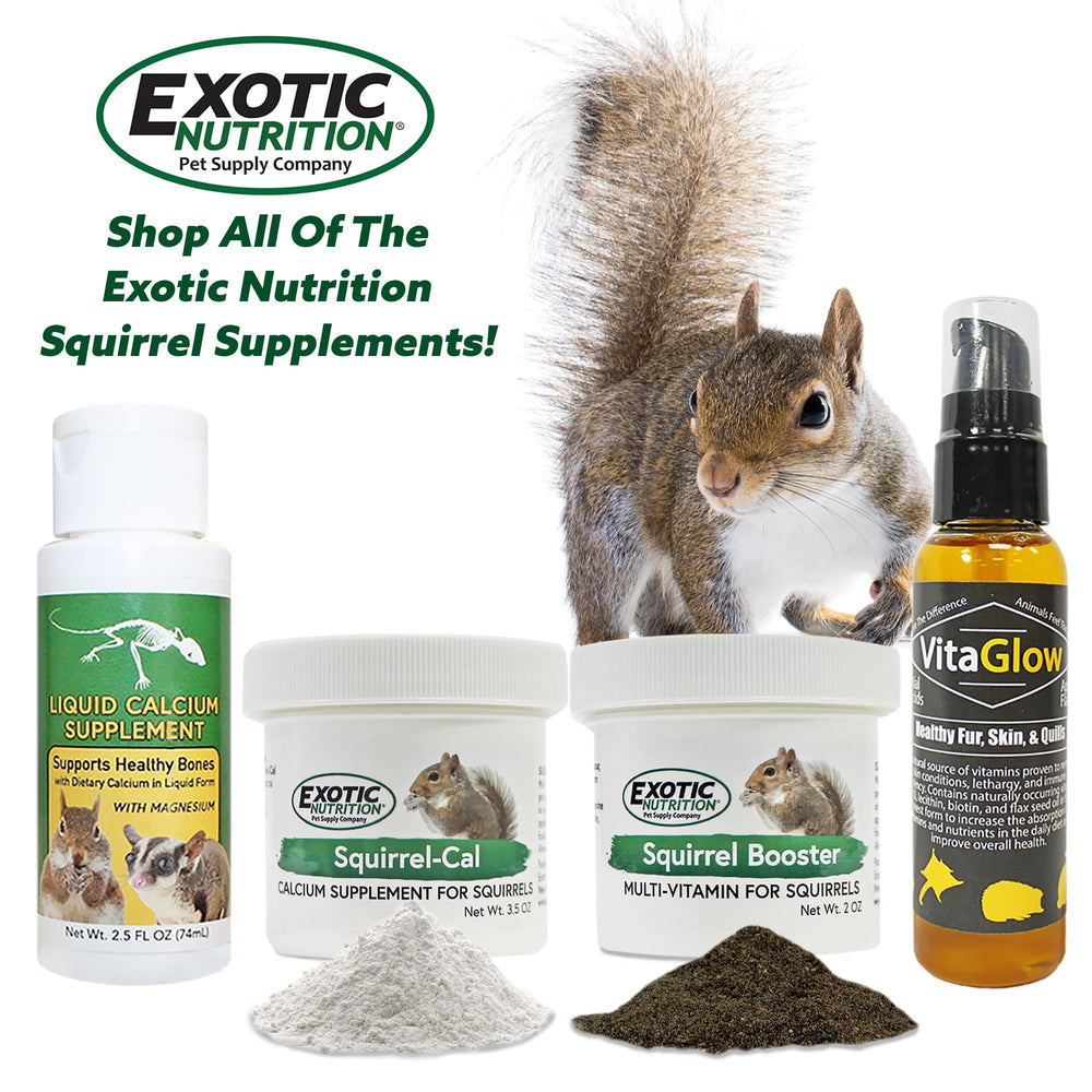 Exotic Nutrition Squirrel Booster – utilisation: idéal lors de périodes de stress ou voyage.