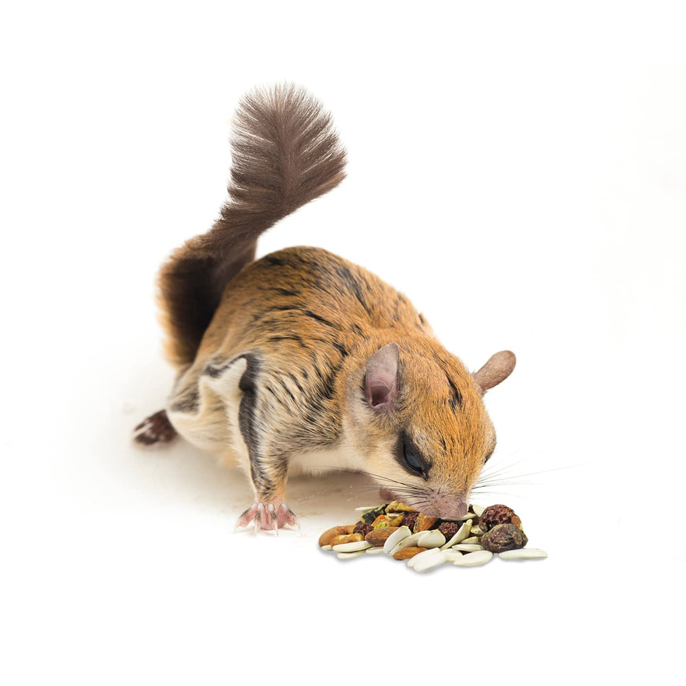 Exotic Nutrition Squirrel Complete - baies-de-rose enrichissant le régime.