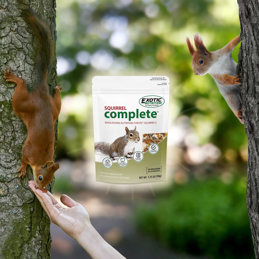 Exotic Nutrition Squirrel Complete - petits-morceaux-noix favorisant la mastication.