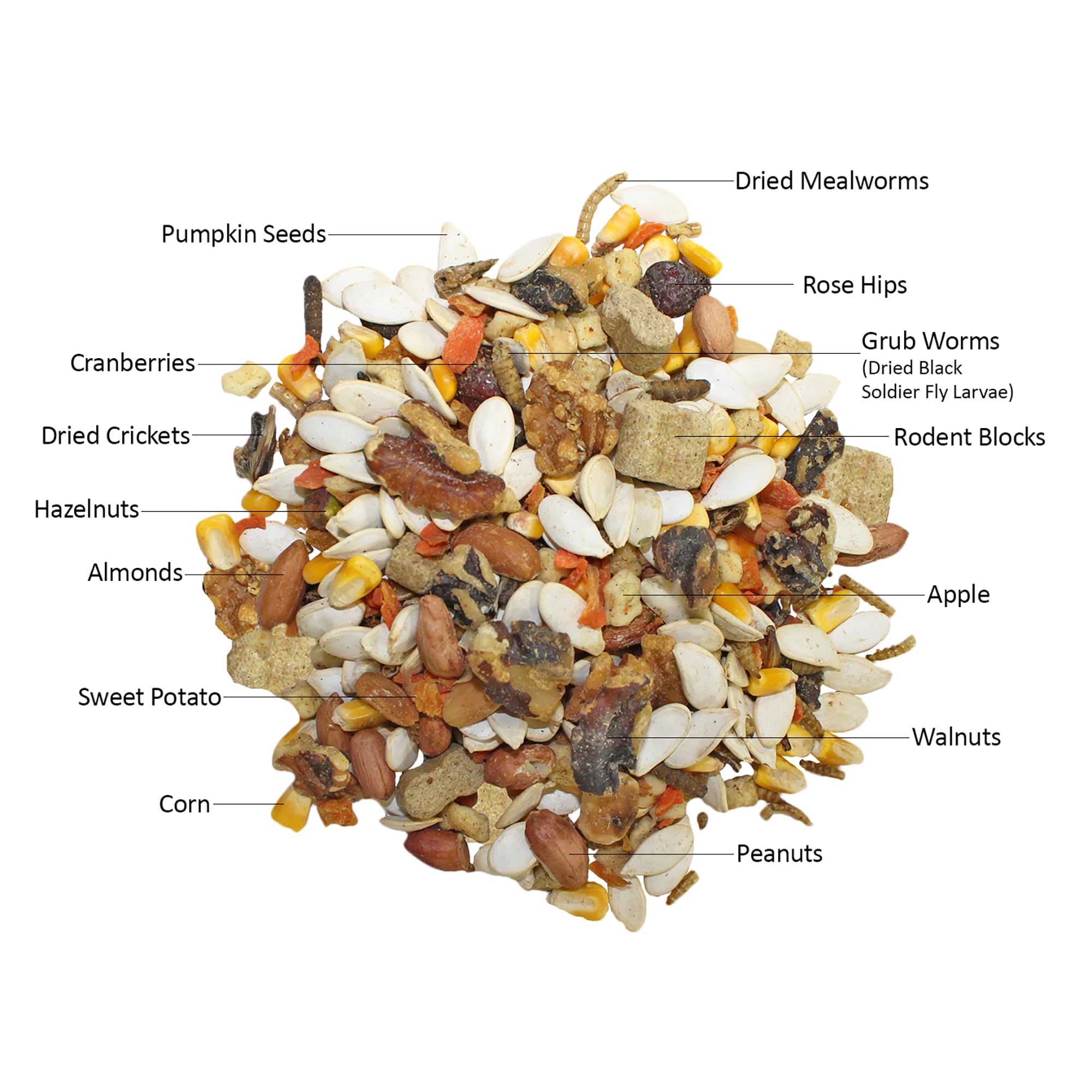 Exotic Nutrition - diète complète en image, repas équilibré pour écureuils et tamias.