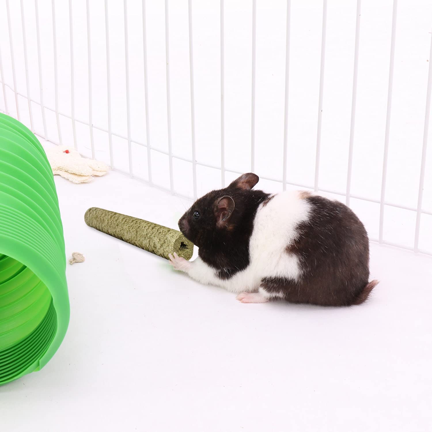 Sante dentaire soutenue par la mastication avec Timothy Puff Sticks.