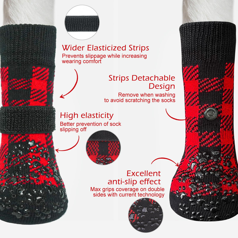 Chien portant chaussettes antidérapantes EXPAWLORER protégeant les pattes