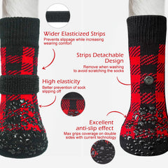 Chien portant chaussettes antidérapantes EXPAWLORER protégeant les pattes