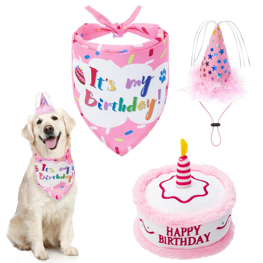EXPAWLORER bandana-anniversaire-chien-rose, accessoire festif pour photo de fête.
