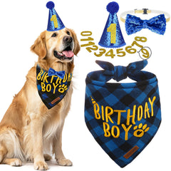 EXPAWLORER chapeau anniversaire chien, accessoire festif pour des photos mémorables.