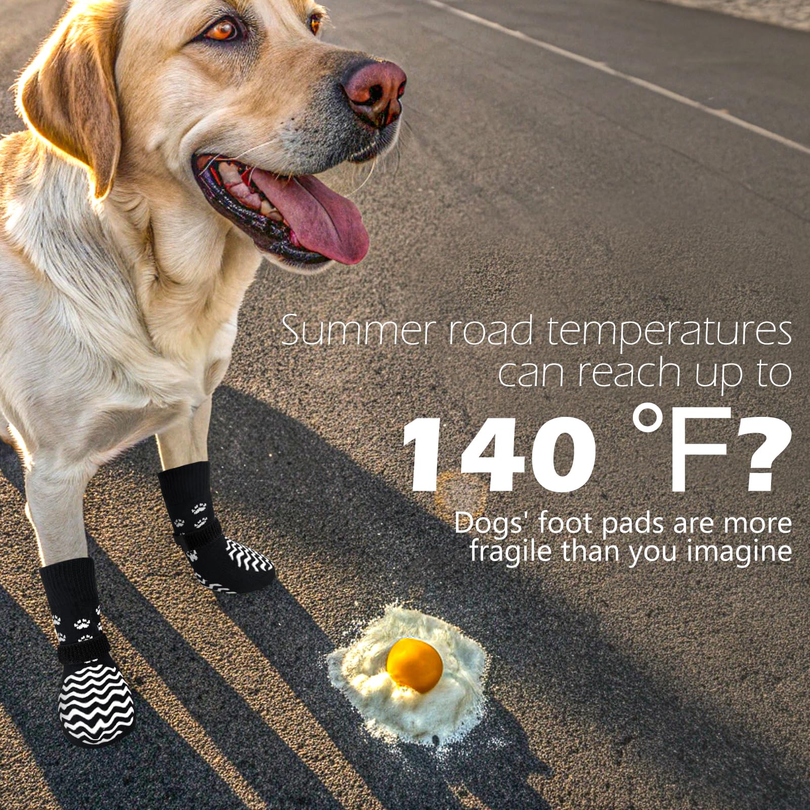 EXPAWLORER protection-pattes toutes saisons pour chiens actifs sur sols lisses.