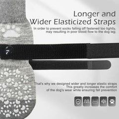 EXPAWLORER chaussettes chien protection patte sur pavés chauds