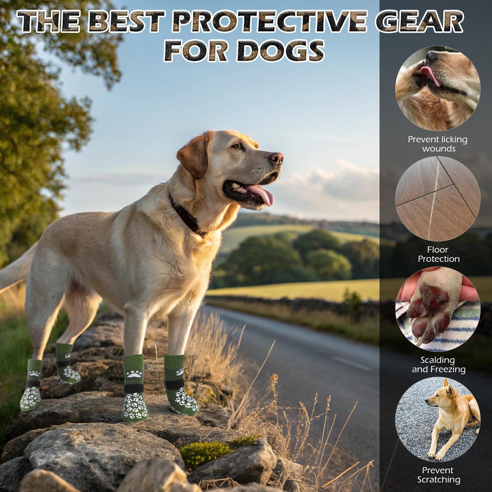EXPAWLORER chaussettes pat adaptees pour chiens ages ou sensibles au glissement