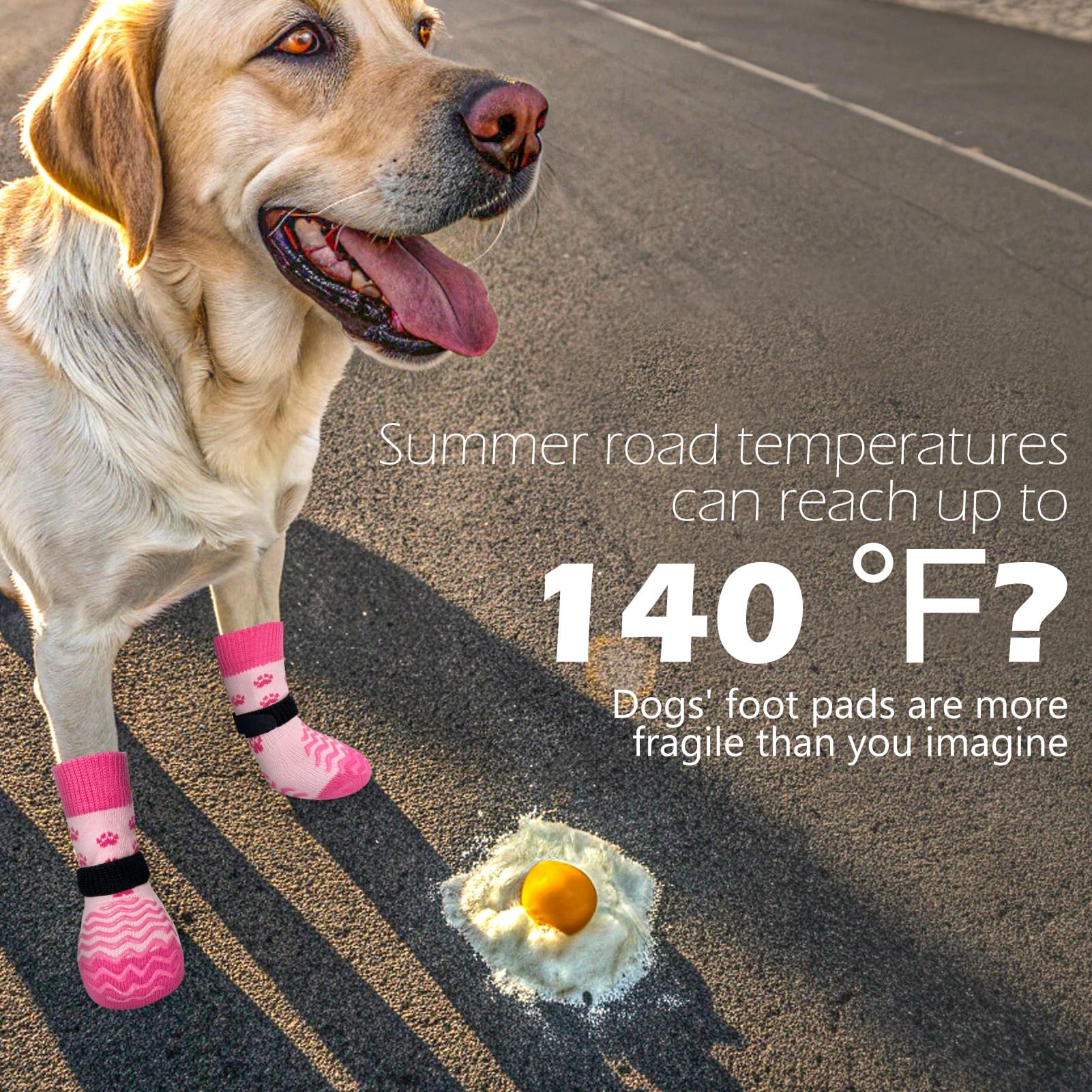 Chien junior utilisant des chaussettes anti-glisse EXPAWLORER pendant les jeux sur bois.