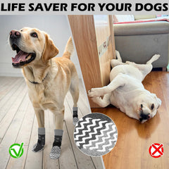 EXPAWLORER chaussettes patte toutes saisons protégeant les pattes
