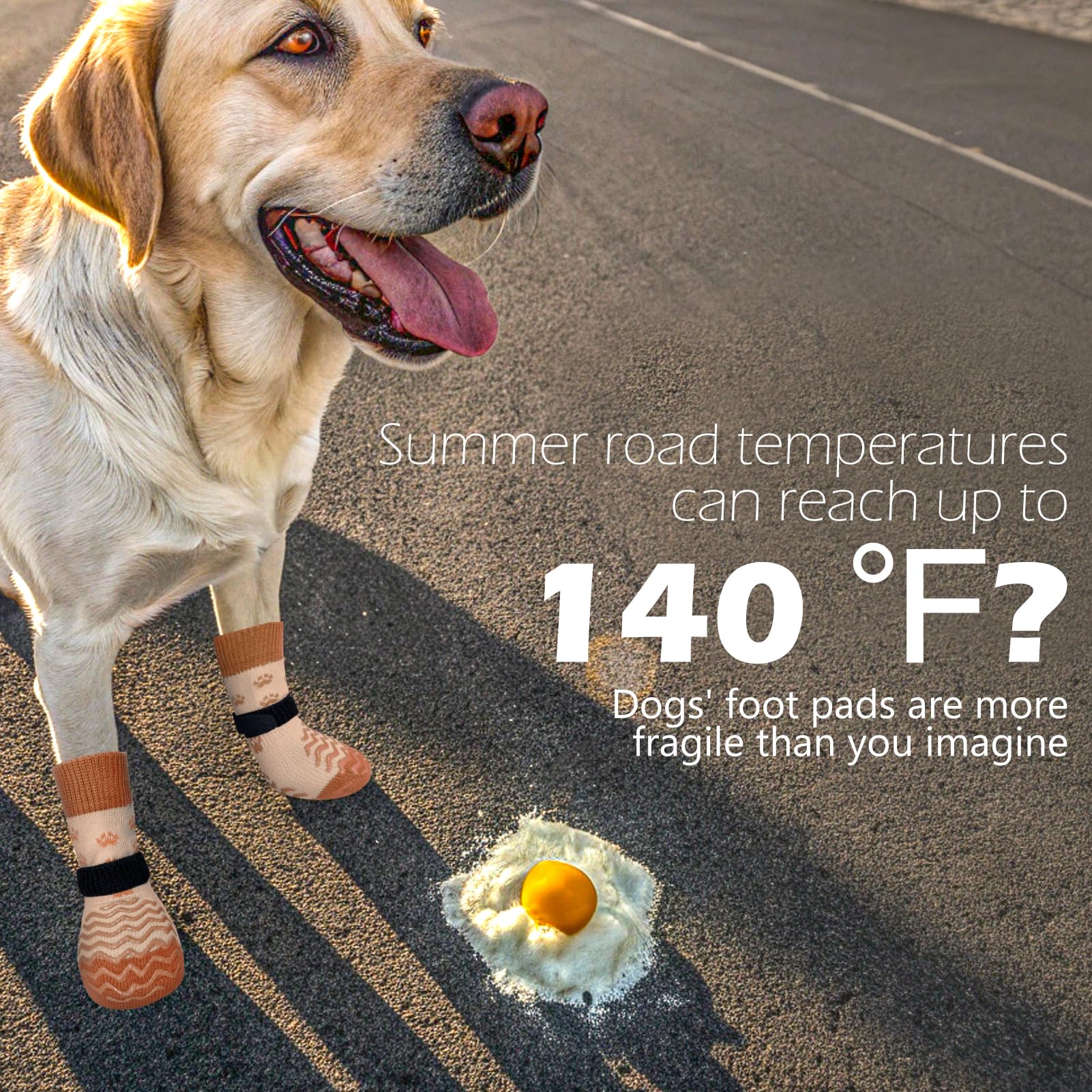 EXPAWLORER protection des pattes toutes saisons pour chiens