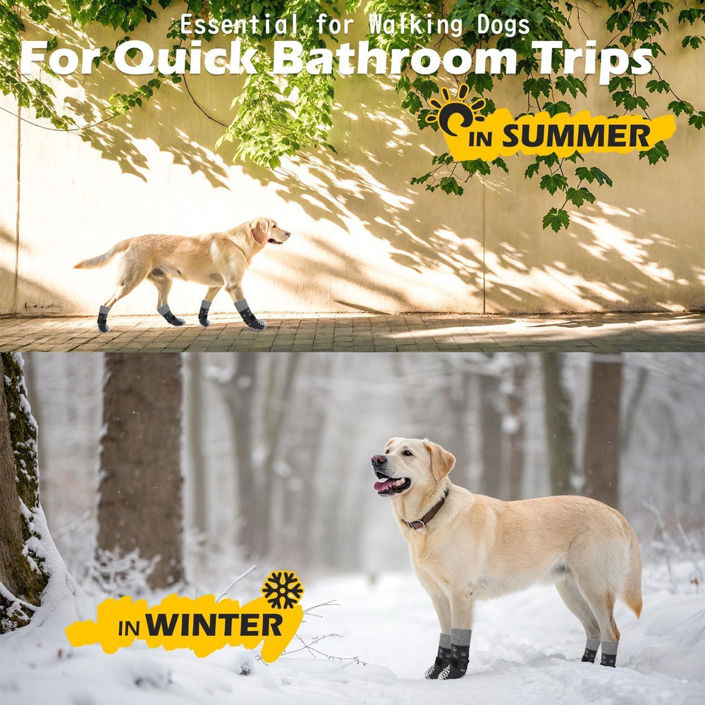 EXPAWLORER usage intérieur et extérieur sur sols en bois.