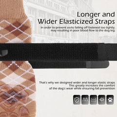 EXPAWLORER chaussons chien confort et durabilité pour surfaces variées.