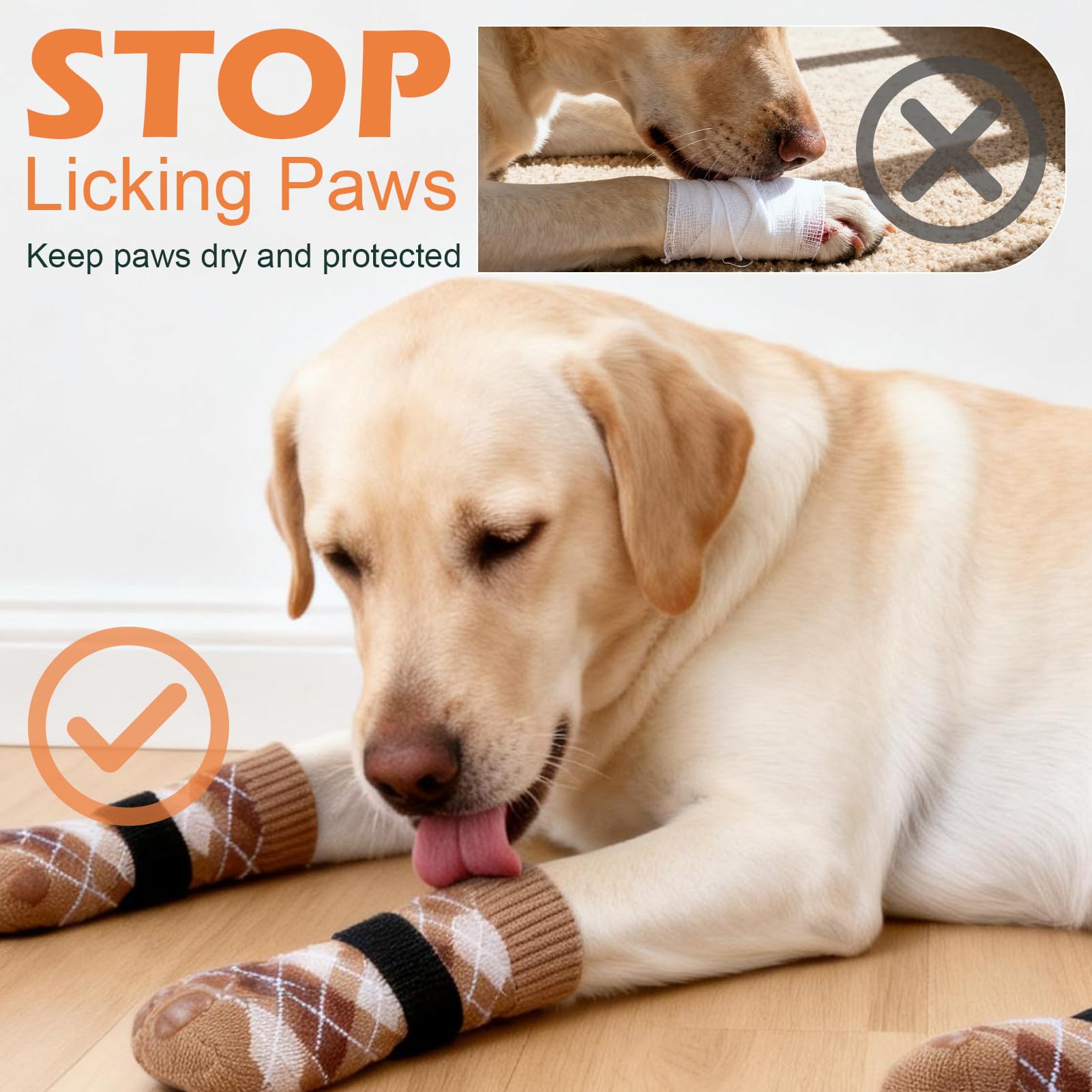 EXPAWLORER chaussons chien adaptés aux balades par tous temps.