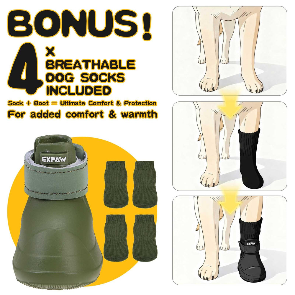 EXPAWLORER Chaussures pour hiver et été – protection polyvalente toute l'année.